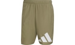 Adidas Maudymosi Šortai Vyrams 30Y Bos Clx Cl Green HA0395