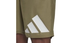 Adidas Maudymosi Šortai Vyrams 30Y Bos Clx Cl Green HA0395