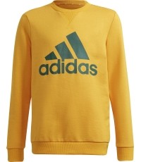 Bluza dziecięca Adidas B BL Sweat, zielono-żółta, GS4274