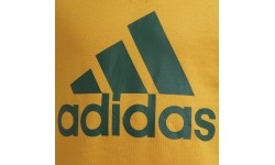 Bluza dziecięca Adidas B BL Sweat, zielono-żółta, GS4274
