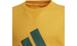 Bluza dziecięca Adidas B BL Sweat, zielono-żółta, GS4274