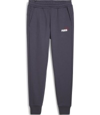 Spodnie dresowe męskie Puma Ess+ 2 Col Logo fioletowe 586767 69