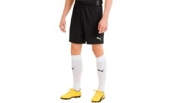Męskie spodenki piłkarskie Puma TeamGoal 23 Knit, czarne, 704262 03
