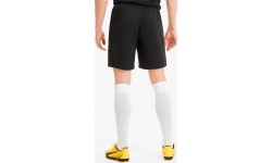 Męskie spodenki piłkarskie Puma TeamGoal 23 Knit, czarne, 704262 03