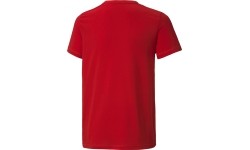 Puma Koszulka młodzieżowa Active Small Logo Red 586980 11