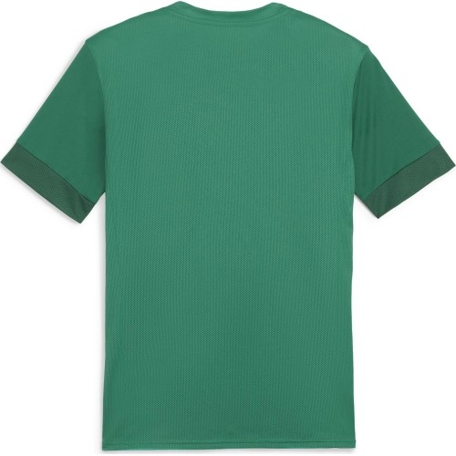 Koszulka męska Puma TeamGoal Matchday Jersey Green 705747 05
