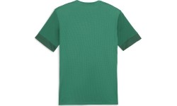 Koszulka męska Puma TeamGoal Matchday Jersey Green 705747 05