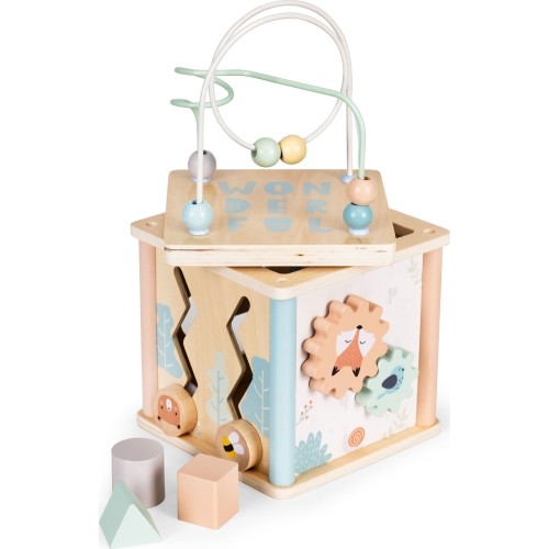 Drewniana kostka edukacyjna sorter klocki ECOTOYS