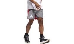 Spodenki męskie Adidas Galaxy, szaro-czerwone HE2902