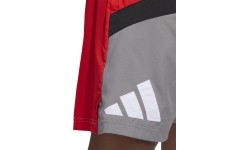 Spodenki męskie Adidas Galaxy, szaro-czerwone HE2902