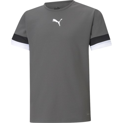 Koszulka młodzieżowa Puma TeamRise Jersey Grey 704938 13