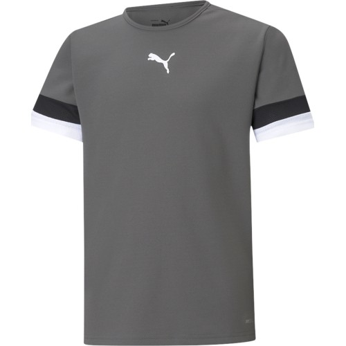 Koszulka młodzieżowa Puma TeamRise Jersey Grey 704938 13