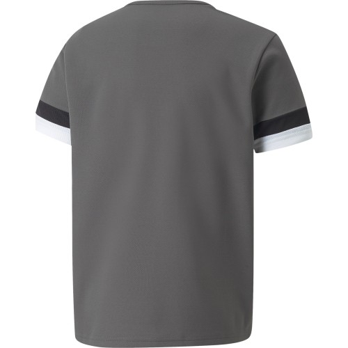 Koszulka młodzieżowa Puma TeamRise Jersey Grey 704938 13