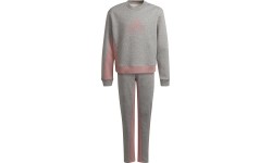 Dres dziewczęcy Adidas G Bos Co Ts Grey Pink H57225