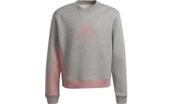 Dres dziewczęcy Adidas G Bos Co Ts Grey Pink H57225