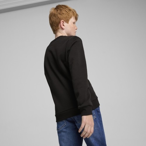 Puma Džemperis Paaugliams Ess + 2 Col Big Logo Fl Black 586986 60