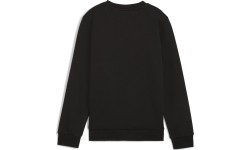 Puma bluza młodzieżowa Ess + 2 Col Big Logo FL Black 586986 60