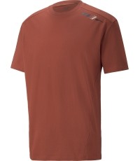 Koszulka męska Puma Rad/Cal Tee Chili Brown 847432 23