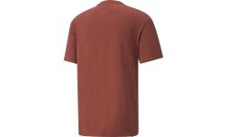 Koszulka męska Puma Rad/Cal Tee Chili Brown 847432 23