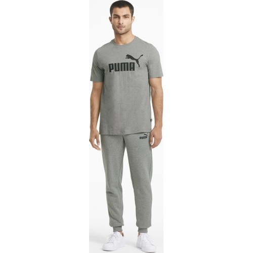 Puma Sportinės Kelnės Vyrams Ess Slim Pants Tr Grey 586749 03