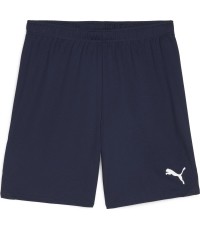 Puma Šortai Vyrams TeamGoal Shorts Navy 705752 06
