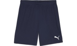 Puma Šortai Vyrams TeamGoal Shorts Navy 705752 06