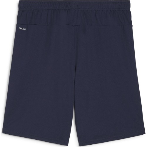 Puma Šortai Vyrams TeamGoal Shorts Navy 705752 06