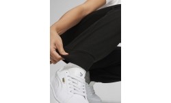 Puma Sportinės Kelnės Moterims Ess+ Small Logo Pants Black 678744 01