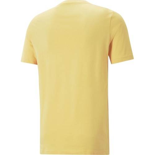Puma Marškinėliai Vyrams Graphics Summer Tee Yellow 674482 40