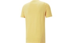 Puma Marškinėliai Vyrams Graphics Summer Tee Yellow 674482 40