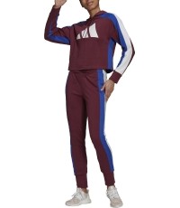 Dres damski Adidas W TS Big Logo Burgundy H48550