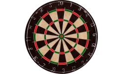 Tarcza do rzutek Innergames Bristle