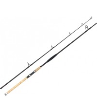 Wędka Zfish Catfish Morga 2,70 m, 100-400 g