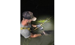Wędka Zfish Catfish Morga 2,70 m, 100-400 g