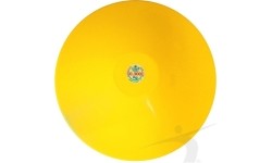 Dysk Polanik DSK-0.3