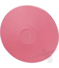 Dysk Polanik DSK-0.5