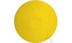 Dysk Polanik DSK-0.6