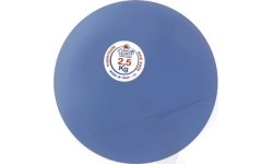 Piłka treningowa do pchania piłki Polanik VDL25