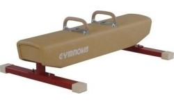 Kozioł gimnastyczny GYMNOVA niski 20 cm