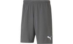 Szorty męskie Puma Teamrise, szare 704942 13