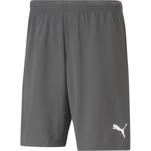 Szorty męskie Puma Teamrise, szare 704942 13