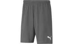 Szorty męskie Puma Teamrise, szare 704942 13