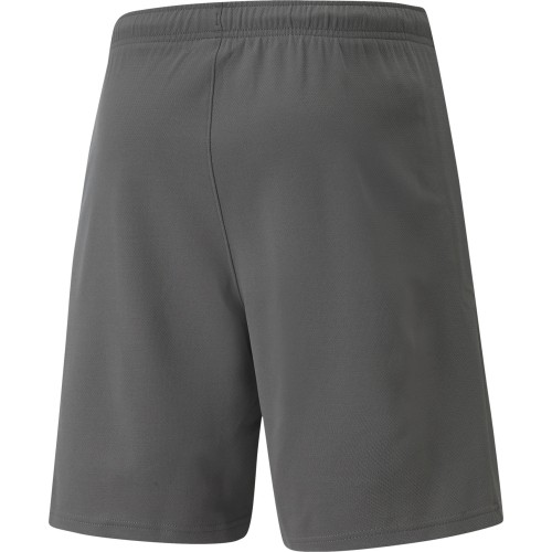 Szorty męskie Puma Teamrise, szare 704942 13