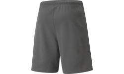 Szorty męskie Puma Teamrise, szare 704942 13