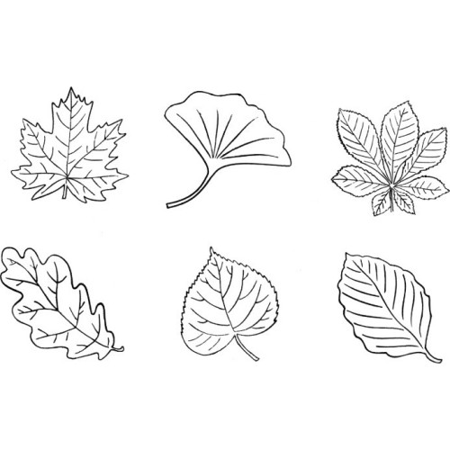 Leaves. Stamps