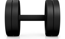 Hantel gumowany Marbo - 17,5 kg, czarny