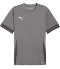 Puma Marškinėliai Vyrams TeamGoal Matchday Jersey Grey 705747 13