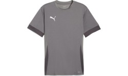 Puma Marškinėliai Vyrams TeamGoal Matchday Jersey Grey 705747 13