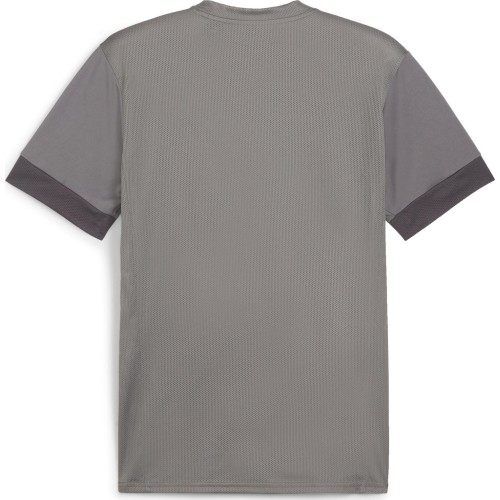 Puma Marškinėliai Vyrams TeamGoal Matchday Jersey Grey 705747 13