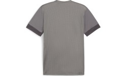 Puma Marškinėliai Vyrams TeamGoal Matchday Jersey Grey 705747 13